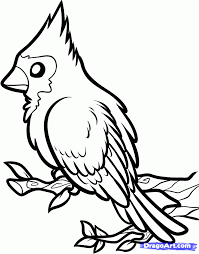 Black And Red Cardinal Bird How To Draw A Red Bird Red Cardinal Bird Step By Step Birds Animals Free Online Drawing Tutorial Added By D Bird Drawings Birds Painting Cardinal Drawing