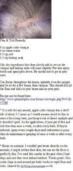 E372019b494d57cd374c1f7f8576e60b Jpg 291 681 Pixels Flea And Tick Spray Dog Remedies Flea Remedies