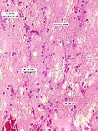 Neupatimagem-UNICAMP