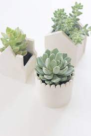 Exclusive, indoor pots, planters, bowls and vases, guaranteed to make a statement. 16 Diy Flower Pot Ideas To Showcase Your Plants