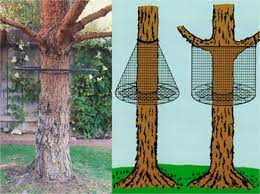 Maderaoutdoorcom Couponcode Hammocks Pinme Site Use For Off All Our Onuse Couponcode Pinme For 40 Off A Cat Fence Diy Dog Fence Cat Climbing Tree