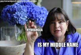 Ina Garten Flower Tips Hydrangeas Need Hot Water People And Don T Forget To Add A Dash Of Bleach To The Bottom Of Ina Garten Runner Tips 9 Month Baby Food