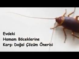 Ev Icin Fikirler Panosundaki Pin