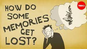 How Memories Form And How We Lose Them - Catharine Young - Youtube