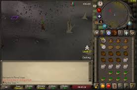 This is my easy crazy archaeologist guide for oldschool runescape with the gear and requirements! The Story Of A Hcim S First Trip To Crazy Archaeologist Album On Imgur