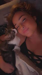 Lost Cat in Lake Forest Daphne Area