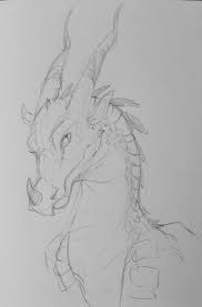 Back When I First Got Into Drawing I Was Really Into Dragons And Wings Of Fire And I Literally Memorized Al Dragon Drawing Dragon Sketch Wings Of Fire Dragons
