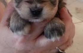 We did not find results for: Privileged Critters Animal Hospital 1004 W Main St Lakeland Fl 33815 Yp Com