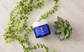 An innovative multifunctional gel for lasting hydration and moisturising effect until the next morning for a natural glow from within. Amazon Com Sekkisei Herbal Gel 80g 2 8 Oz Beauty