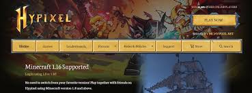 Paladin, ranger, wizard, cleric and more! Top 20 Best Minecraft Servers Free Bedwars Survival More