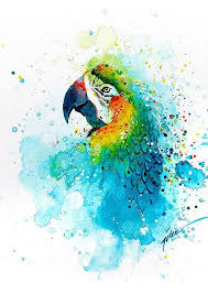 Parrot Watercolor Painting A4 A3 Art Print Parrot Painting Animal Paintings Animal Art