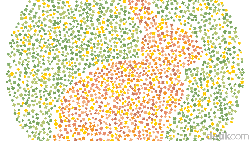 Lakukan tes buta warna ini, angka berapa yang kamu lihat? Tes Buta Warna Bisakah Kamu Menebak Semua Hewan Dalam Gambar Ini