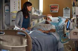 Angelo Sorrento | Switched At Birth Wiki | Fandom