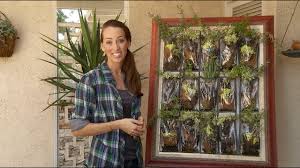 We did not find results for: How To Make A Vertical Garden Living Wall Art Youtube