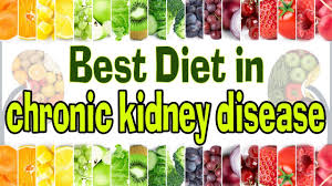 Diet For Chronic Kidney Disease Ckd Indian Diet Plan For Kidney Patients Kidney Diet In Hindi Youtube