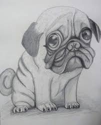 Pencil art drawing step by step. Simple Animal Pencil Drawing Novocom Top