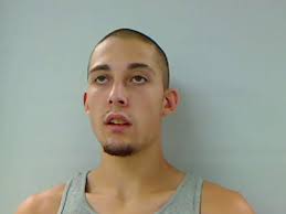 Augusta man who stabbed police dog sentenced to two years