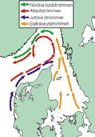 Det är lätt att förstå varför hundratusentals svenskar väljer att resa till gran canaria år efter år; Http Www Smhi Se Polopoly Fs 1 17789 Webbfaktablad 52 Pdf