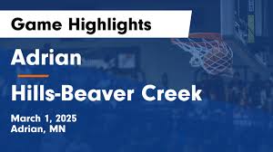 Adrian vs Hills-Beaver Creek Game Highlights