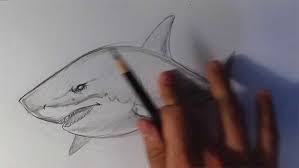 We did not find results for: How To Draw Animals 50 Free Tutorial Videos To Help You Learn Step By Step