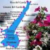 De enige gletsjer van de apennijnen, de calderonegletsjer ligt in het ruwe gebied gran sasso en is de meest zuidelijke gletsjer van europa. Https Encrypted Tbn0 Gstatic Com Images Q Tbn And9gctnwktuft2mjm8rcqlacikazc6qaycuxfhdaxje2o2dnolvzrpz Usqp Cau