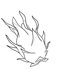 Dragonfruit Illustration Free Fruit Coloring Pages Dragon Fruit Unique Cactus Plants