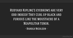 People often have very different but strong opinions on subjects like cloning and stem cell research. Rudyard Kipling S Eyebrows Are Very Odd Indeed They Curl Up Black And Furious Like The Moustache