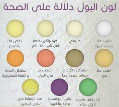 Pin By Sabeeh On أعشاب وعلاجات Health Diet Organic Health Health Fitness Nutrition