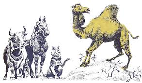 Some of the poems between the stories are delightful, particularly that after how the camel got his hump, which tells little the unlicked cubs must be licked into shape, and work make its claim on the work force. How The Camel Got His Hump Stories Guide