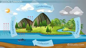 Water is constantly moving from one place to another through the processes of. Water Cycle Lesson For Kids Definition Facts Video Lesson Transcript Study Com