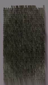 Image result for Pittosporum fulvotomentosum