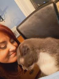 Anyone missing a cat? He seems friendly. He just walked in our garage