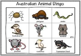 Australian Animal Bingo Game Australian Animals Bingo Games Bingo
