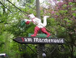 Marchenwald Altenberg Possibly My Favorite Place In The World Deutsche Landschaft Marchen Wald Bergisches Land