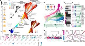 Choose from contactless same day delivery, . Letters Nature