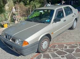 Image result for Luci Di Bosco 2007 Alfa-Romeo