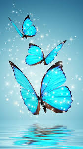 30 Colorful Butterfly Wallpapers Free To Download Godfather Style In 2020 Blue Butterfly Wallpaper Butterfly Wallpaper Iphone Butterfly Wallpaper