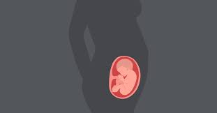 Gerakan bayi 8 bulan dalam kandungan aku pertama kali merasakan gerakan bayi dalam kandunganku itu waktu 18 minggu. Begini Perkembangan Janin Pada Usia 26 Minggu