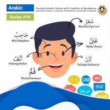 Contoh hitungan adad tartibi dalam bahasa arab. Anggota Tubuh Dalam Bahasa Arab Yayasan Asshodriyah Islamic School