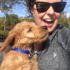 Molly the Goldendoodle — MinneapoLiz