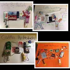 Agriculture Education Cattle By Products Projects Animal Science Lessons Agriculture Education Agriculture Education Classroom
