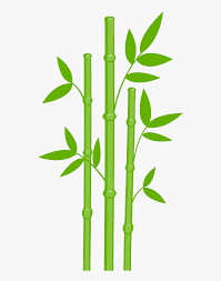 Bamboo Drawing Leaves Bamboo Clipart Hd Png Download Kindpng Connect with other artists and watch other still life drawings. bamboo clipart hd png download