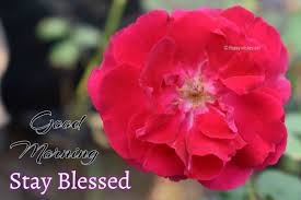 Image result for blessing