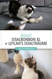 Sisalbonbon Xl Leylah S Sisaltraume Katzenhaltung Katzengarten Katzen Zubehor