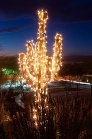 Because christmas cactus plants are so easy to care for, it is not uncommon for a christmas cactus to eventually grow to a monstrous size. 7 Cactus Christmas Trees Ideas Cactus Christmas Trees Christmas Christmas Cactus