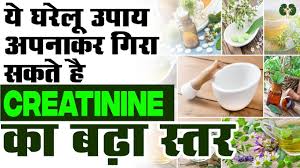 The creatinine test is therefore used as a measurement of kidney function. à¤• à¤° à¤à¤Ÿ à¤¨ à¤¨ à¤•à¤® à¤•à¤°à¤¨ à¤• à¤˜à¤° à¤² à¤‰à¤ª à¤¯ Creatinine Treatment In Ayurveda Reduce Creatinine Level Youtube
