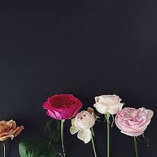 لرؤية التصميم على الخلفية يوجد في حساب ملاحظة نستخدم في التصميم برنامج الفوتوشوب على ا flower backgrounds iphone wallpaper images iphone wallpaper fall