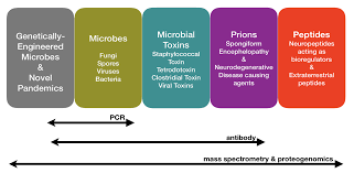 It was first identified in december 2019 in wuhan,. Sustainability Free Full Text The Post Covid 19 Era Interdisciplinary Demands Of Contagion Surveillance Mass Spectrometry For Future Pandemics Html