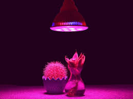 Check out the taotronics led grow lights bulb, this model is one of the most appealing at the as we have mentioned, the taotronics led grow lights bulb may be affordable, but it still has a lot to. Taotronics Led Grow Light Review