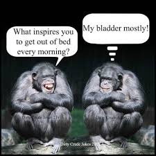 Funny tuesday memes are mostly people having fun, enjoying, or hating the day, but no matter, which it is, they are going to let you know. Swallowsgroup On Twitter Happy Tuesday Funny Hncconf2019